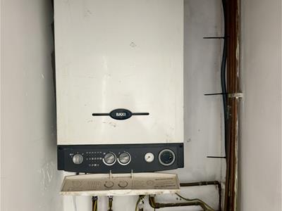 Picture 17